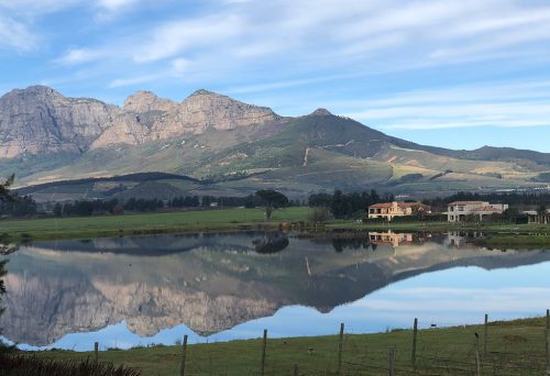 La Bella Vita, paarl, Wine estate