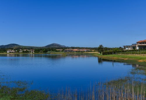 La Bella Vita, paarl, Wine estate